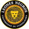 Leones Negros (Mex)