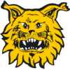 Ilves 2